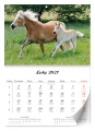 5904257475794_jednomiesieczny-lux-konie_2027